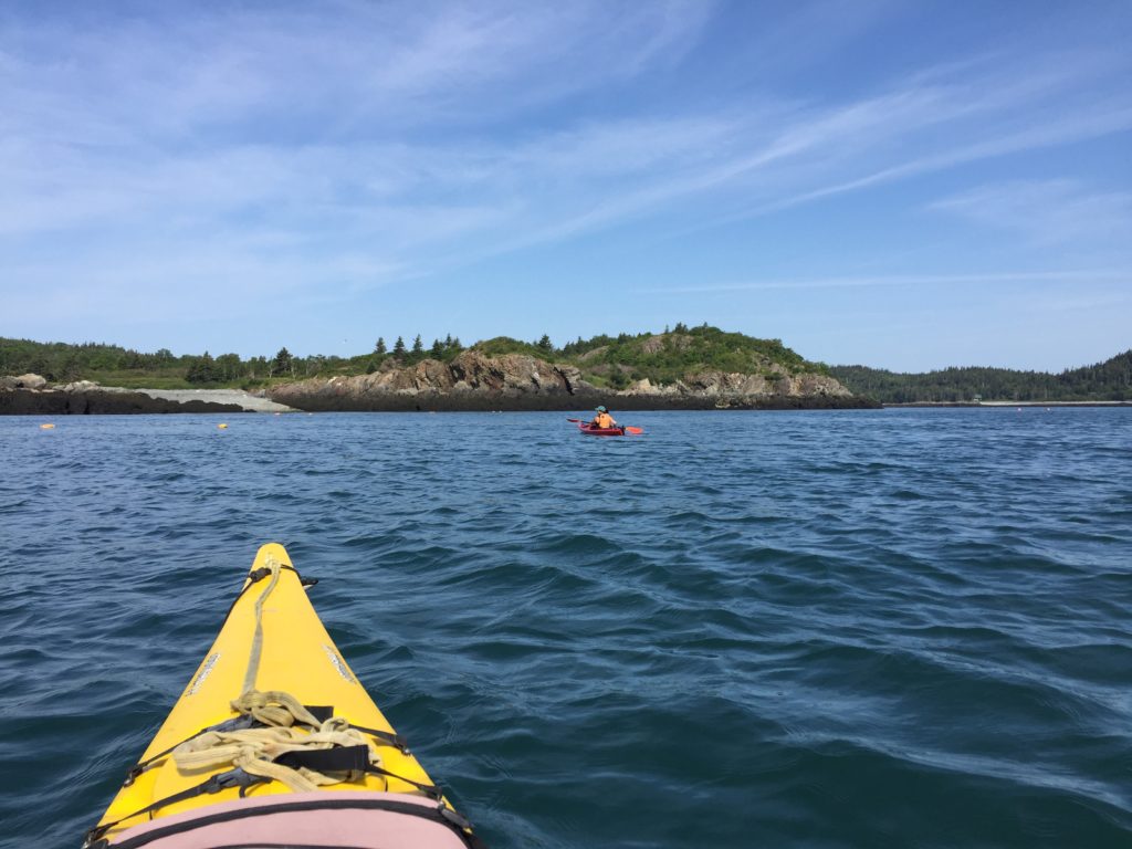 Sea kayaking Maine Coast