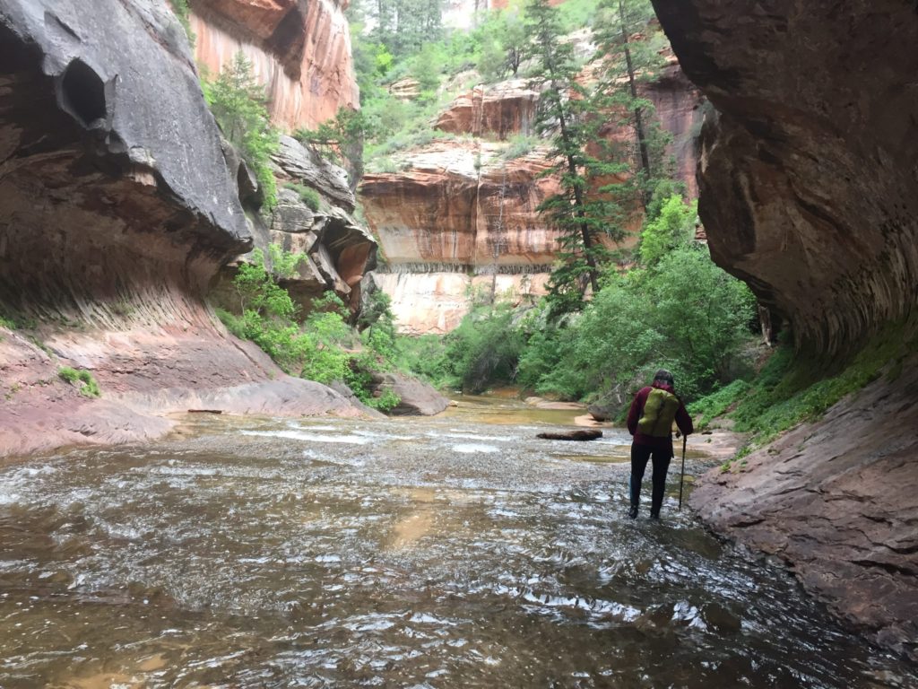 person hiking in water in Subway canyon