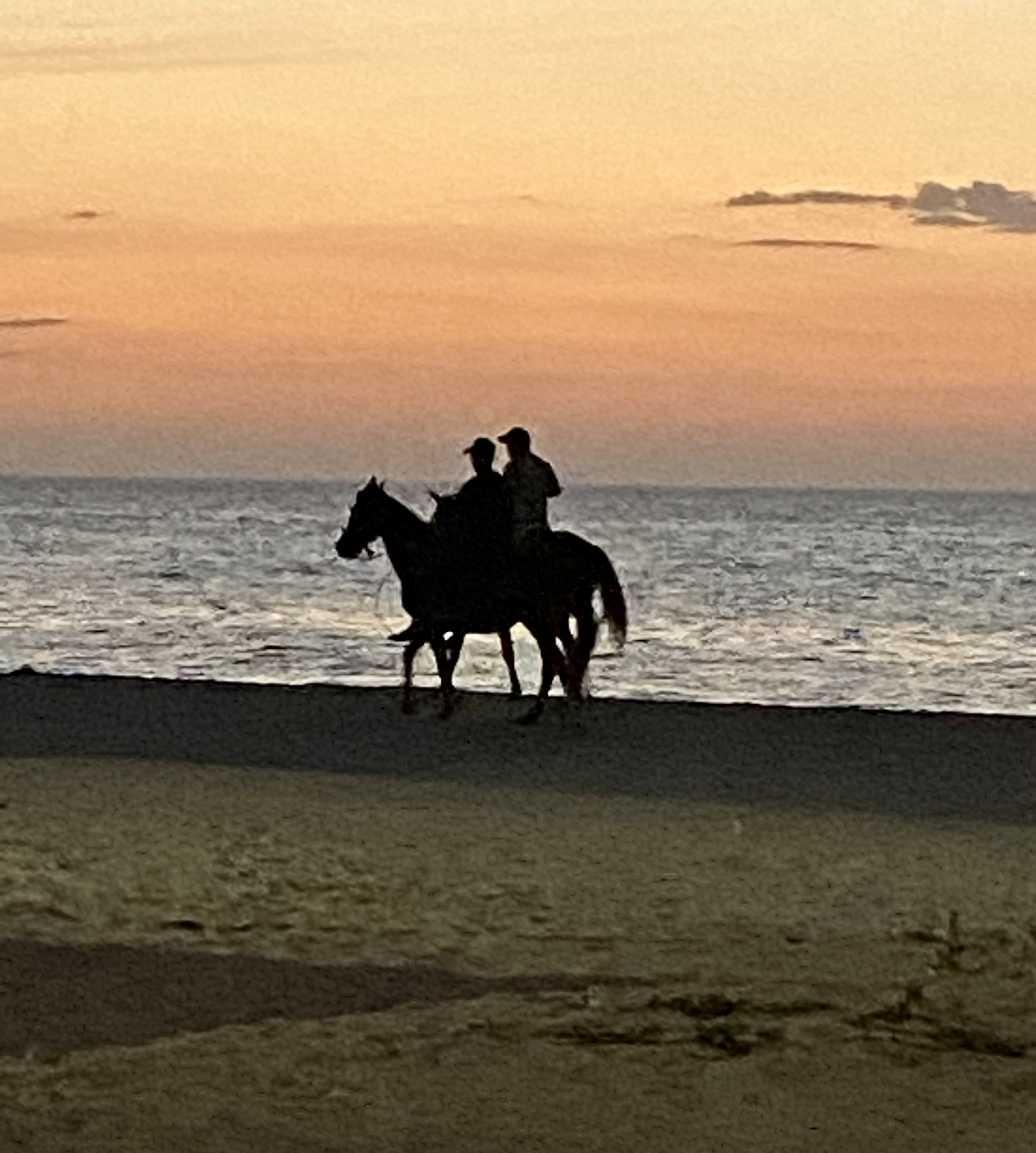 Outdoor Adventures on the Yucatan-horses on the beach.