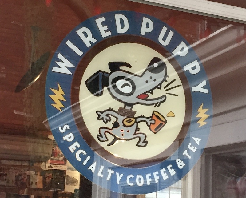 Restaurant Wired Puppy in Dog friendly Provincetown