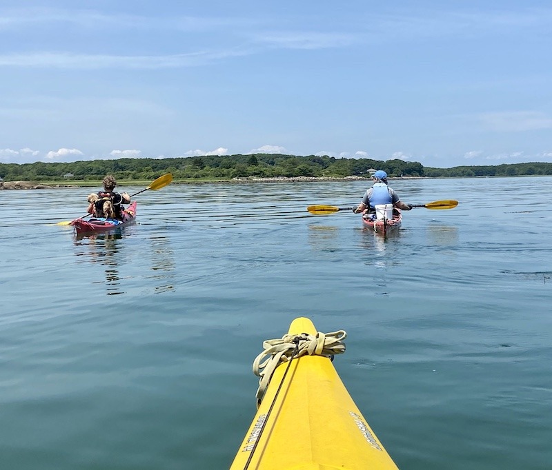3 sea kayaks  in the Cape Porpoise Islands
