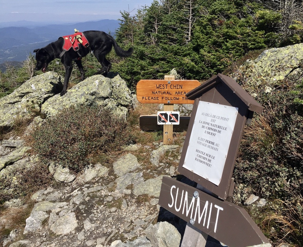 Sunset Ridge Trail with dog-Outdoor Adventures in Stowe