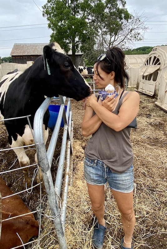 petting cow-outdoor adventures in Western Massachusetts