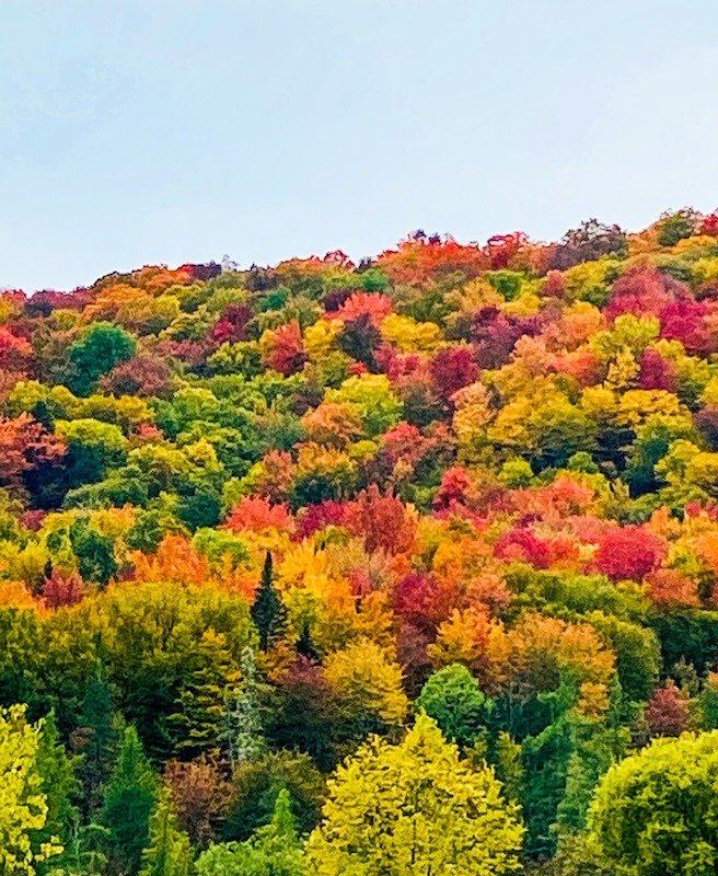 colorful foliage in Northeast Kingdom Outdoor Adventures