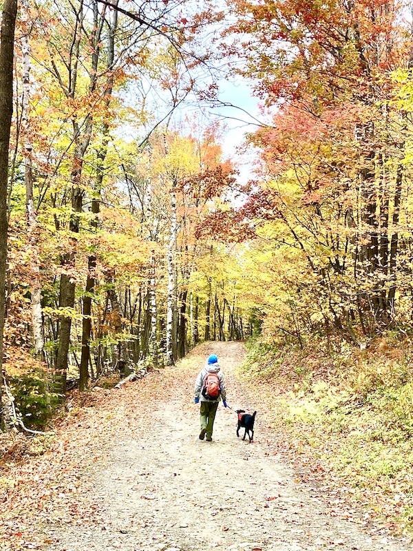hiking in woods with dog on the 30 Day Outdoor Challenge