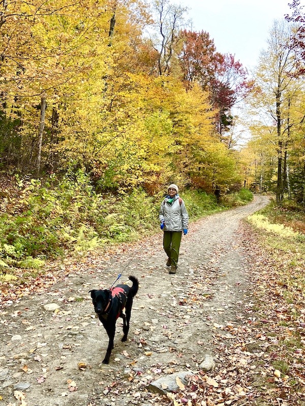 dog and human on trail to viewpoint in Vermont