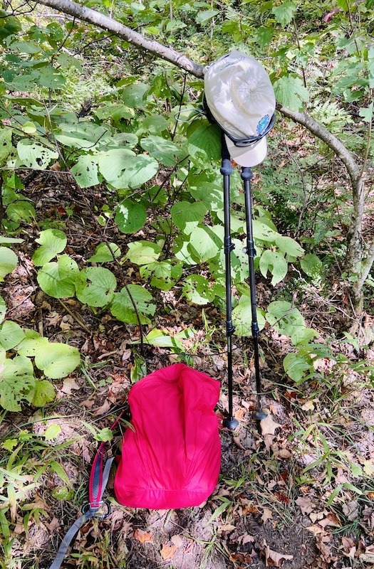 hiking poles and pack 