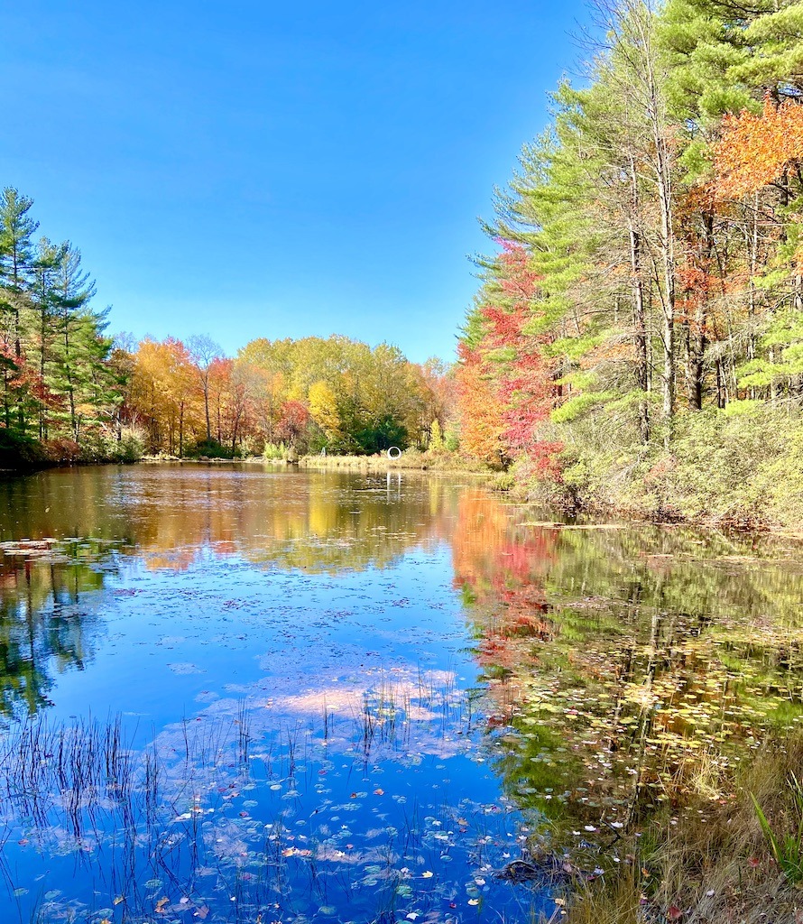 Pond with fall foliage on an outdoor spiritual retreat