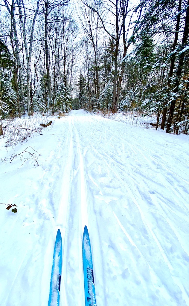 skis on snow-free cross country skiing Vermont