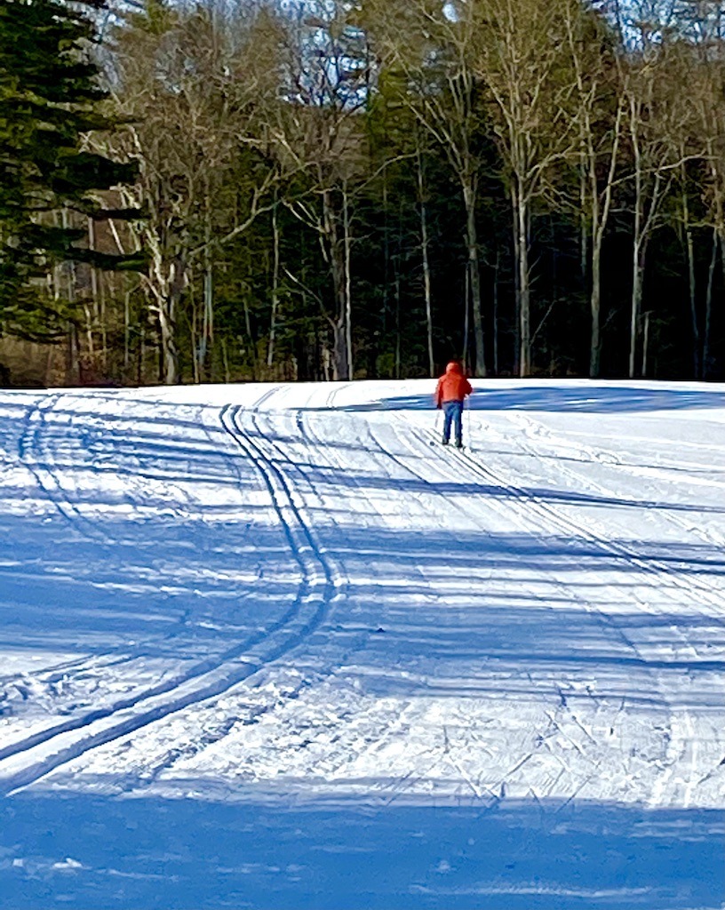 skier on trail -free cross country skiing Vermont