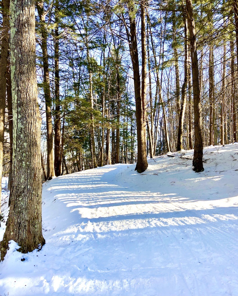 ski trail for free cross country skiing near Hanover, New Hampshire