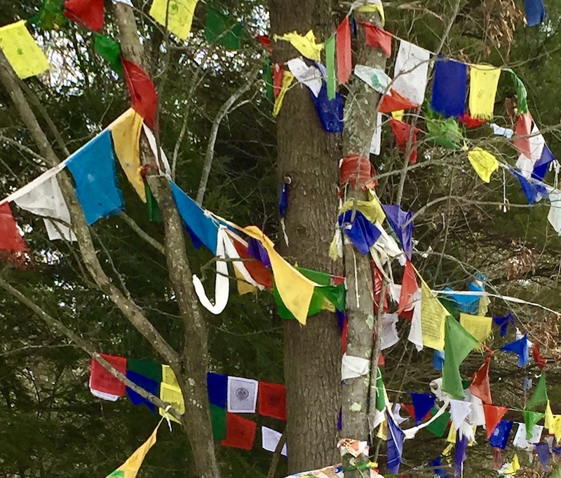 prayer flags on an outdoor spiritual retreat