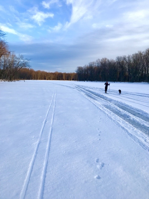 skier and dog-free cross country skiing Vermont