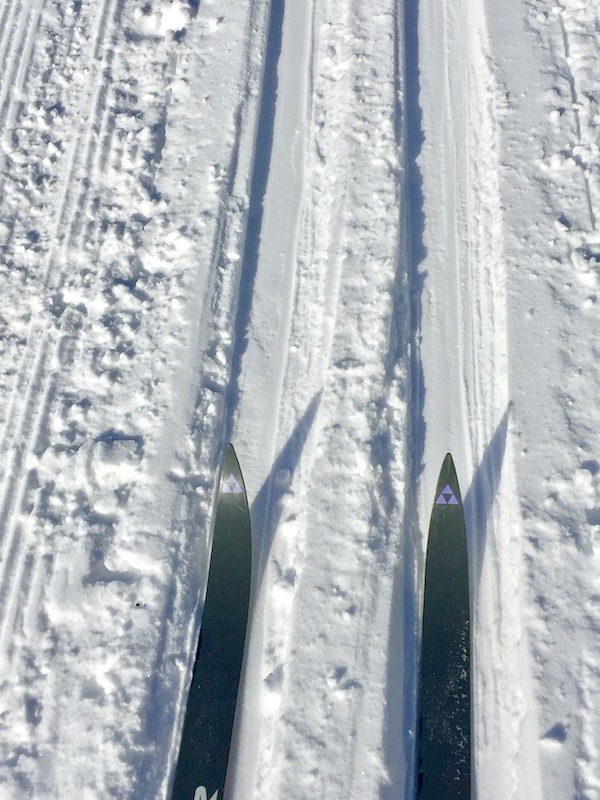 skis on track-free cross country skiing Vermont