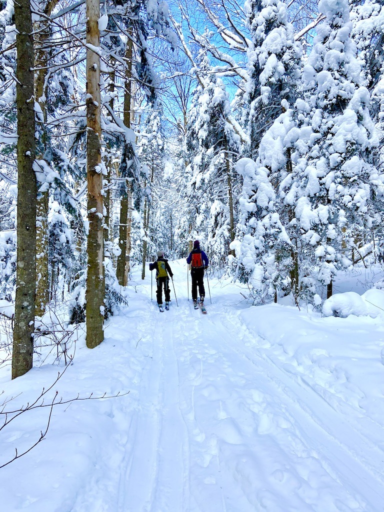 skiers on trail-cross country skiing Adirondacks