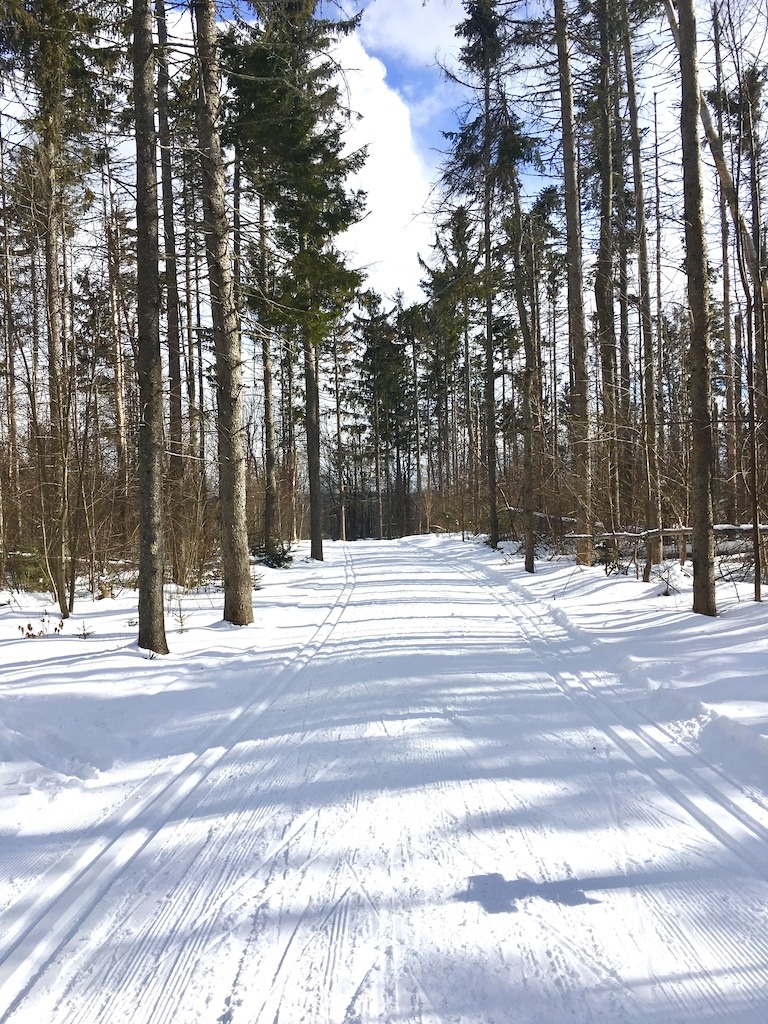 ski trail -cross country skiing in the Berkshires