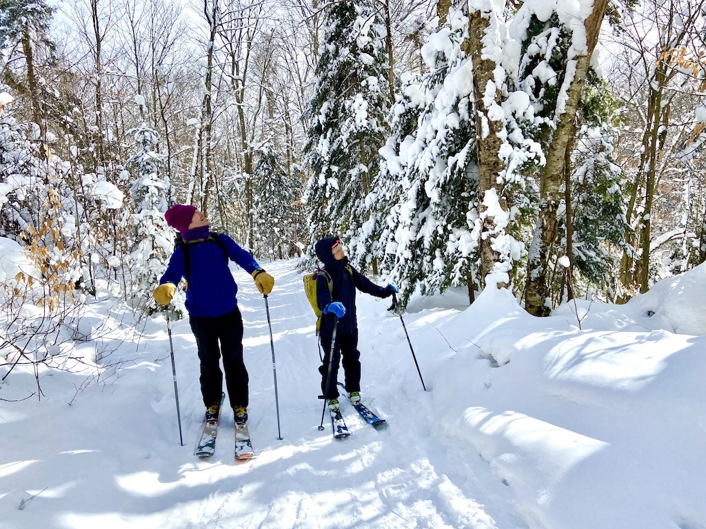 skiers looking up-cross country skiing Adirondacks