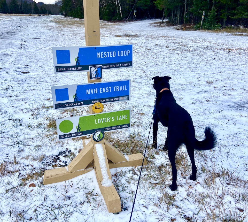 dog and trail signs-cross country skiing Adirondacks