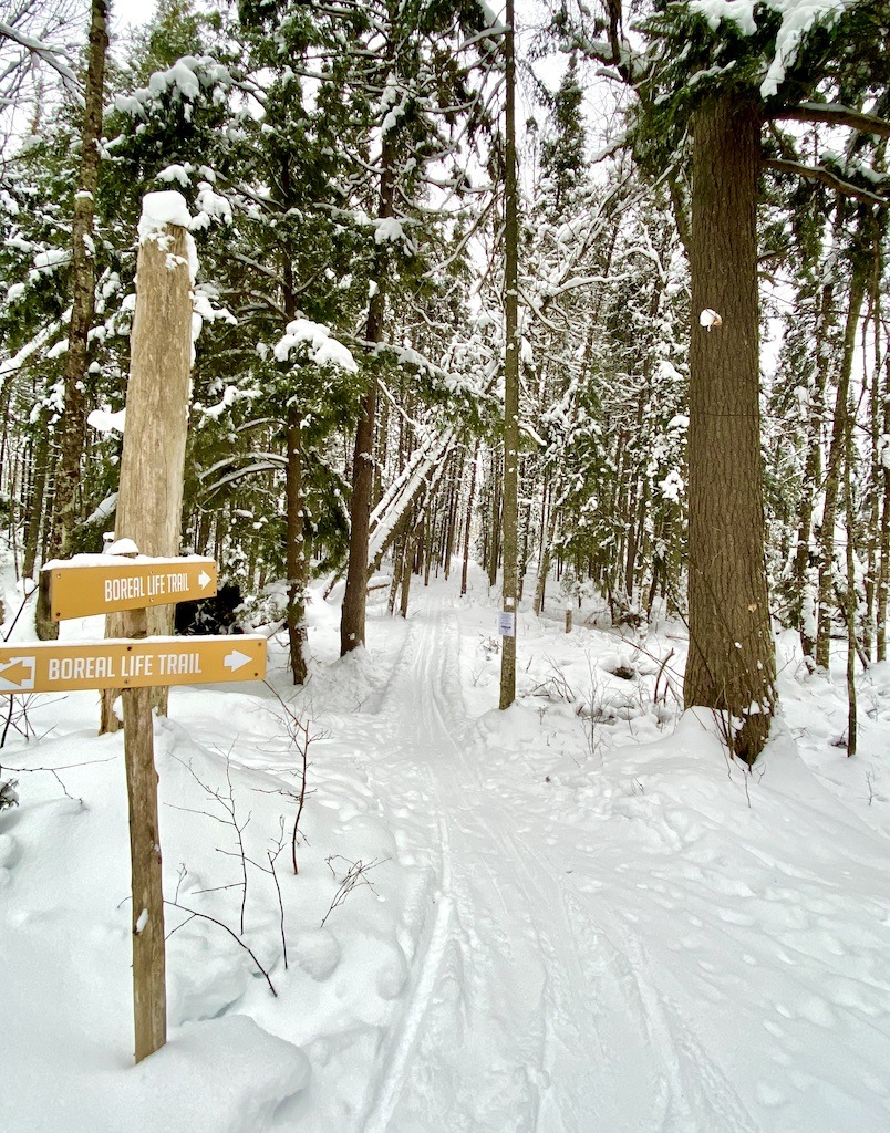 ski trail and signs-cross country skiing Adirondacks