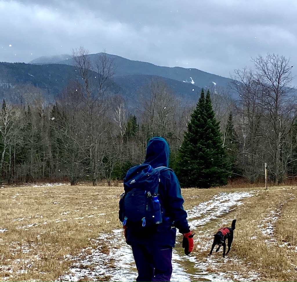 Hiker and dog on easy hikes in the Adirondacks