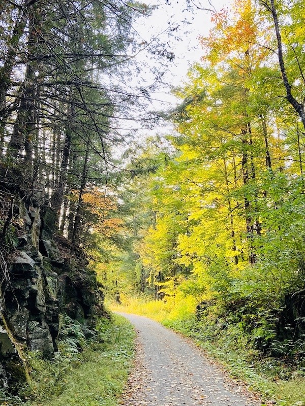 bike trail near cliff on the best bike trails in Vermont