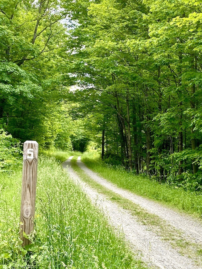 mile marker on bike trail on the best bike trails in Vermont