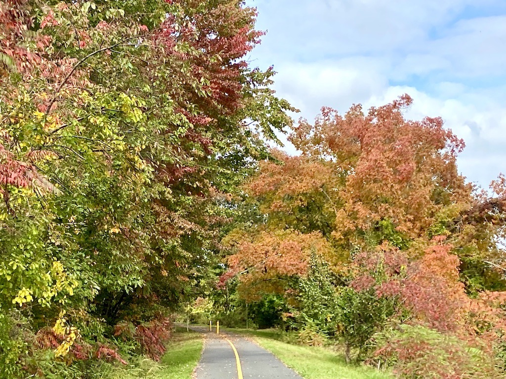 colorful leaves on one of the best bike trails in Western Massachusetts