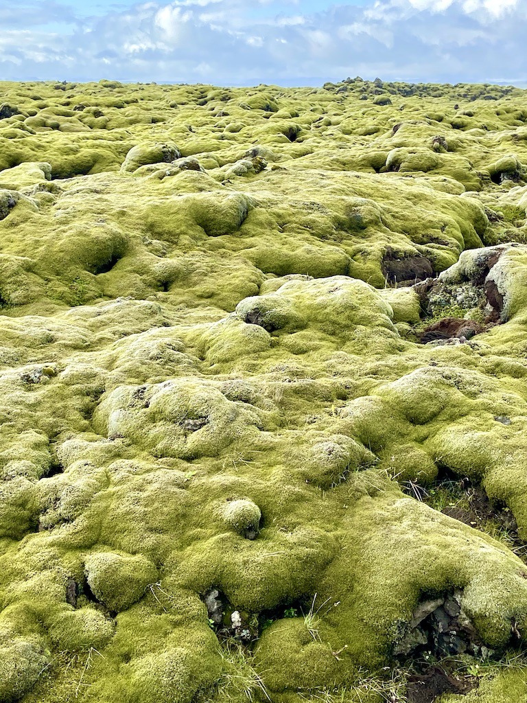 green lava field-outdoor adventures in Iceland