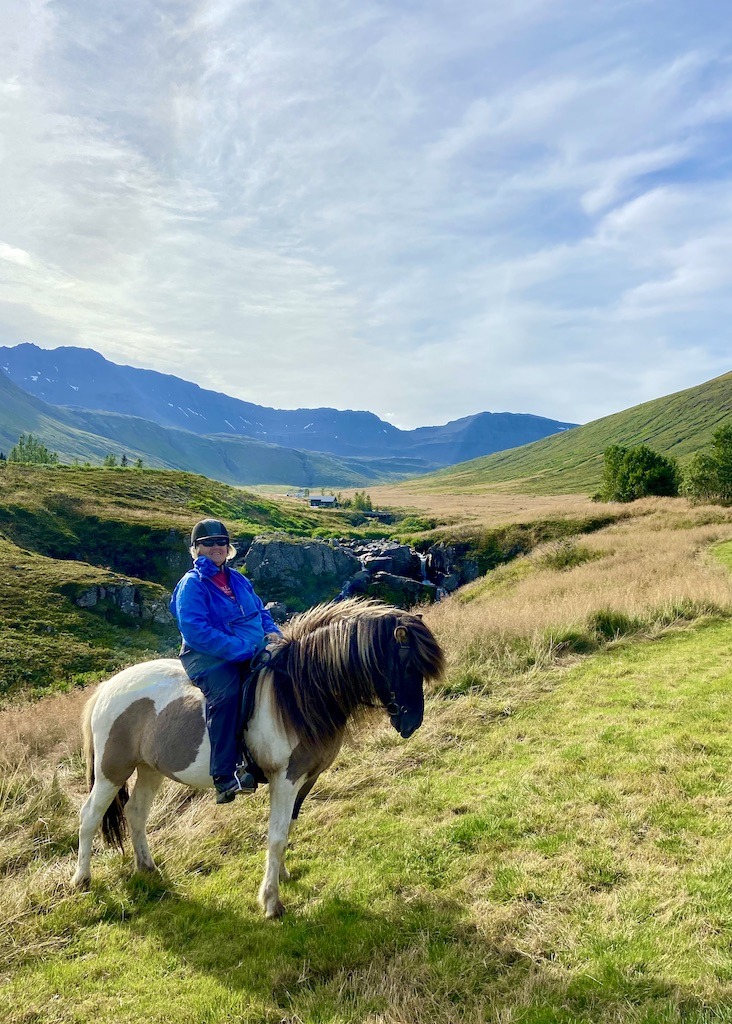 riding a horse-- outdoor adventures in Iceland