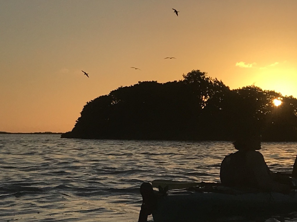 Birds over island at sunset while sea kayaking Sian Ka'an