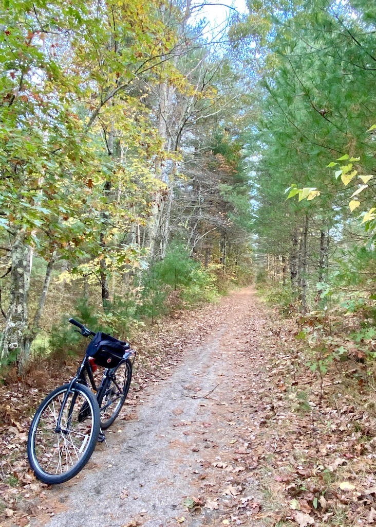 bike on leaved covered bike path