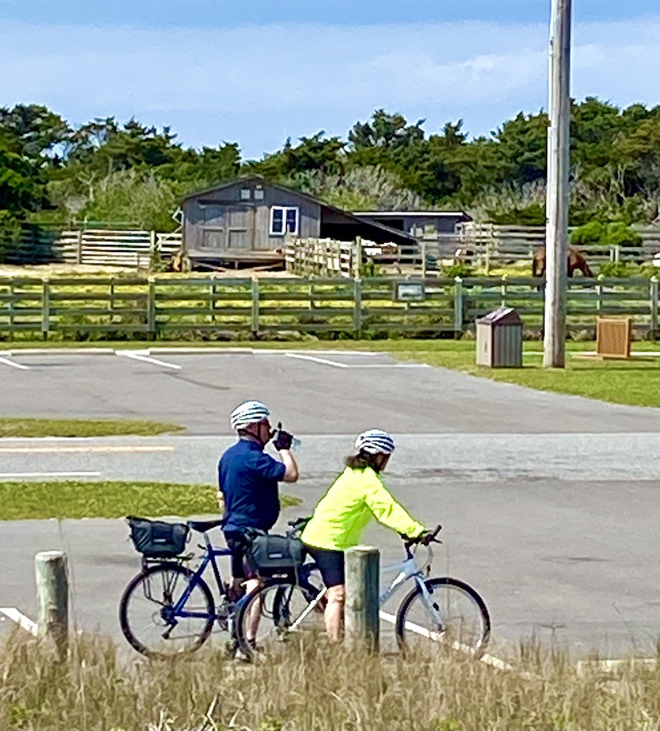 bikers near fenced in horses-one of the outdoor adventures on Ocracoke Island