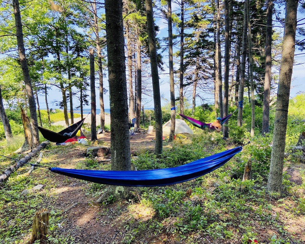 Hammocks in pine grove - Maine sea kayak camping