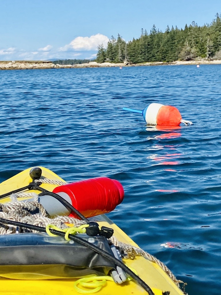 yellow boat-lobster buoy