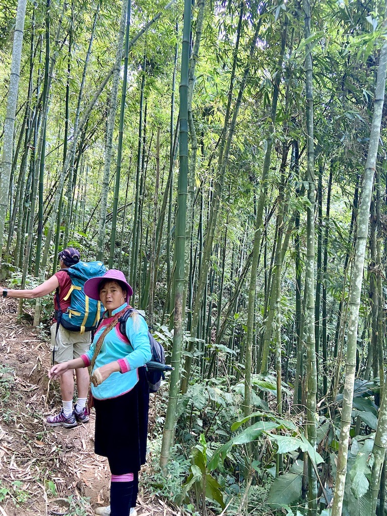 bamboo forest-trekking in Sapa