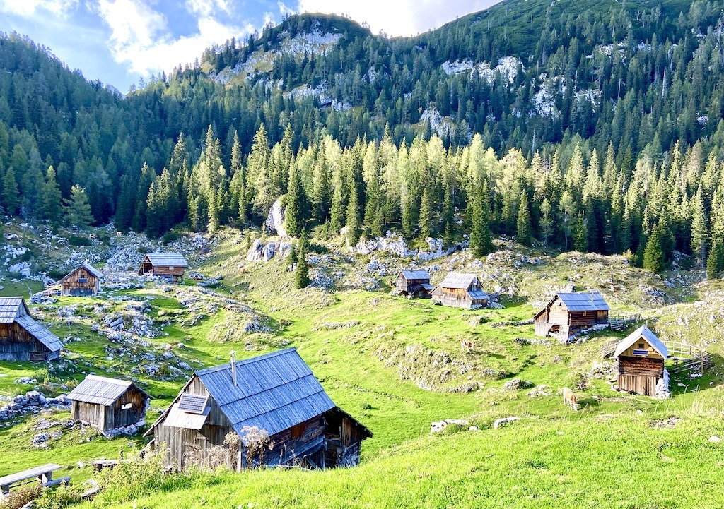 cottages in pasture-one of the outdoor adventures of Slovenia