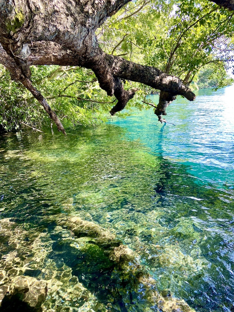 green and blue cenote-kayaking on Lake Bacalar