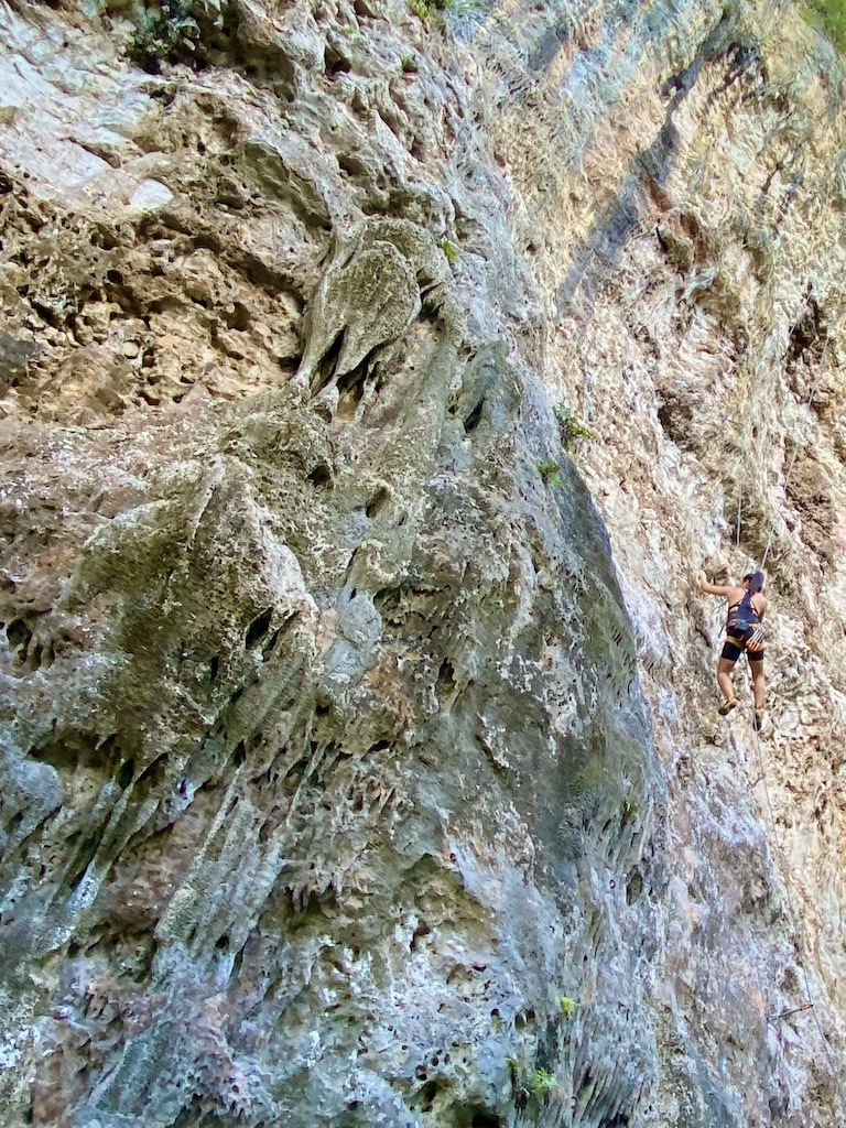 rock climber on limestone cliff-Outdoor Adventures Arecibo