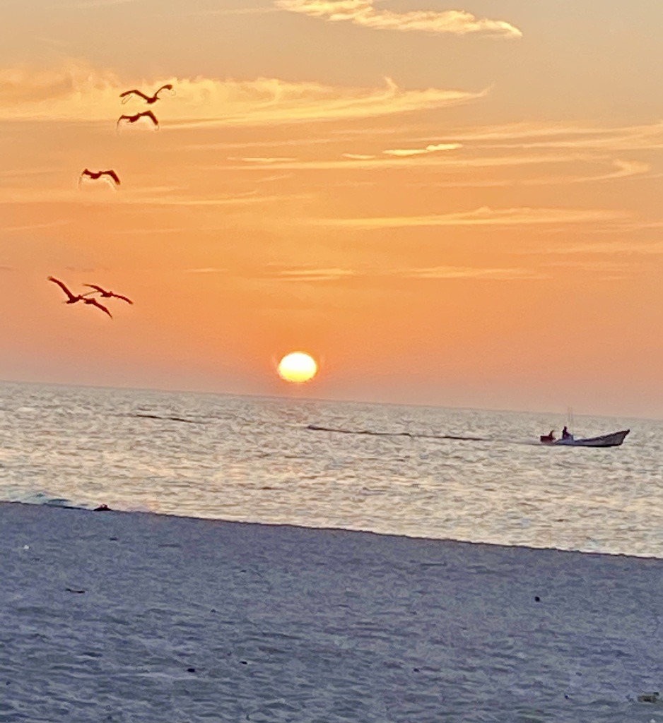 sunset,boat and birds on beach