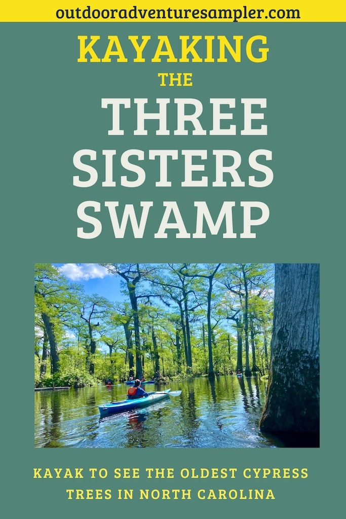 swamp tours wilmington nc