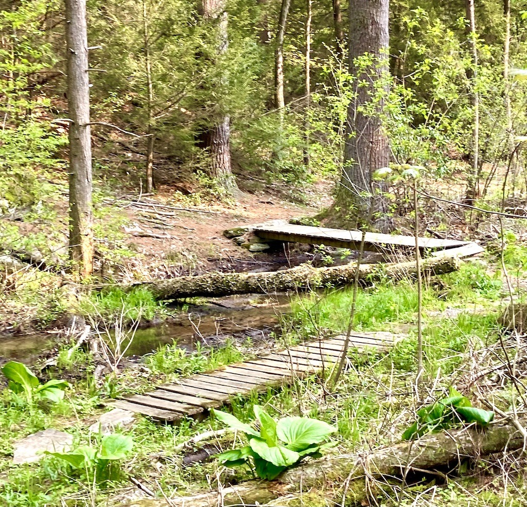 Bridge over stream- Best Hikes in the Holyoke Range