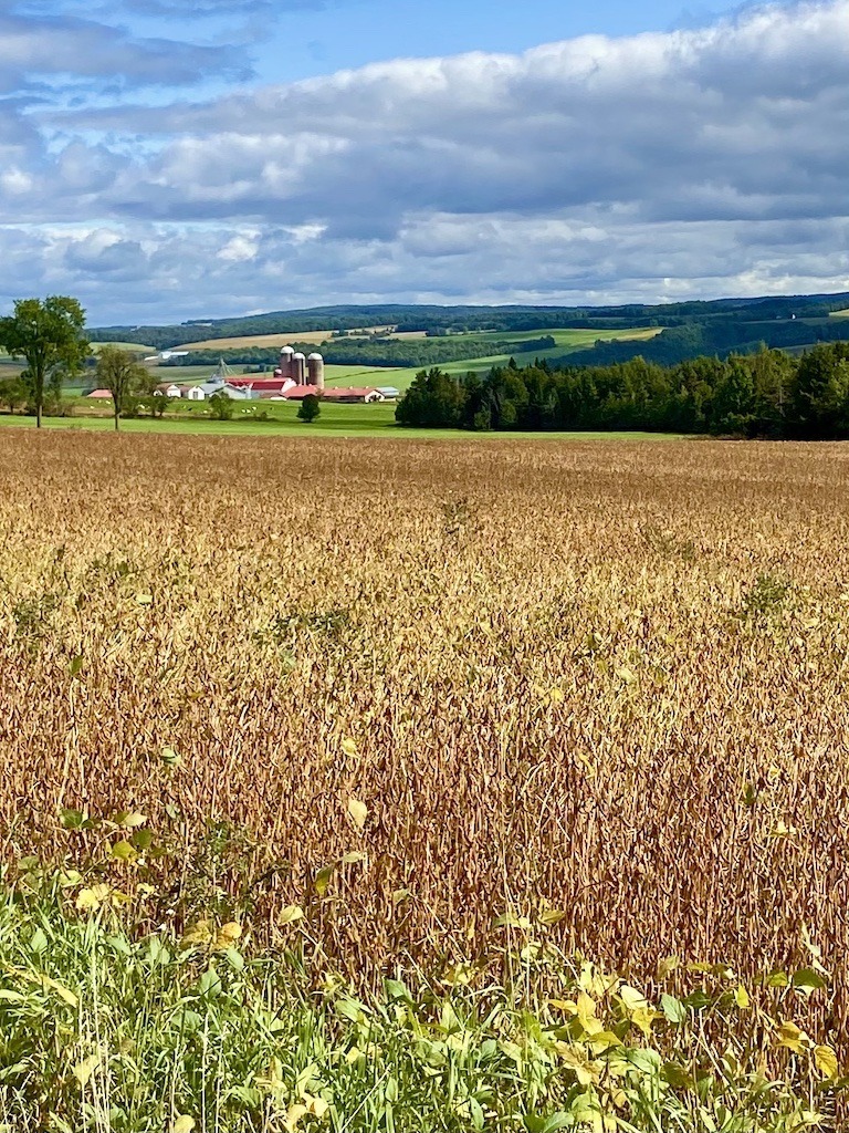 Farm Country Cheese House Products - Coveyou Scenic Farm Market