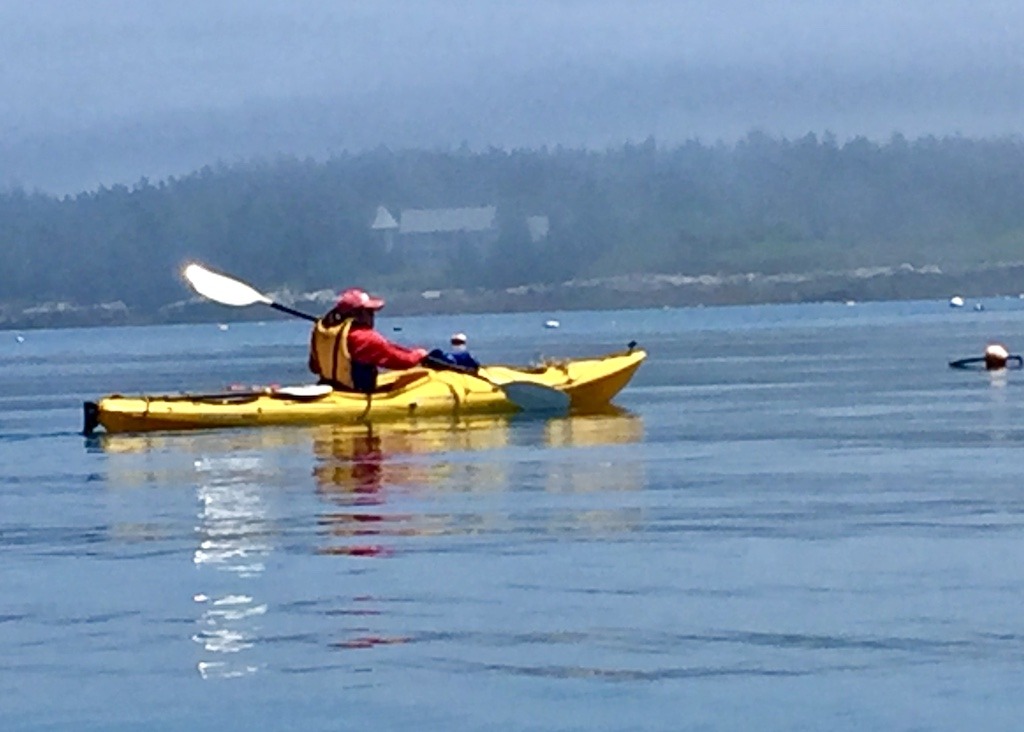 kayaker in yellow boat-Downeast Maine outdoor adventures