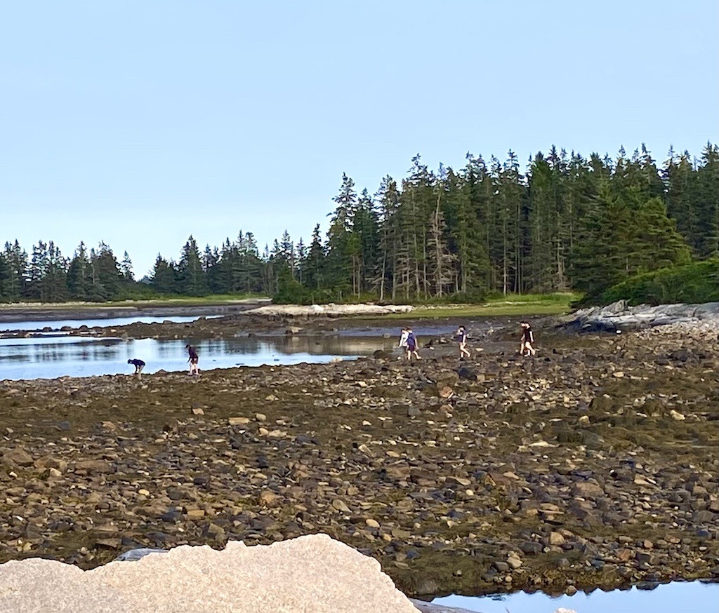 people walking on brown rocks-Downeast Maine outdoor adventures