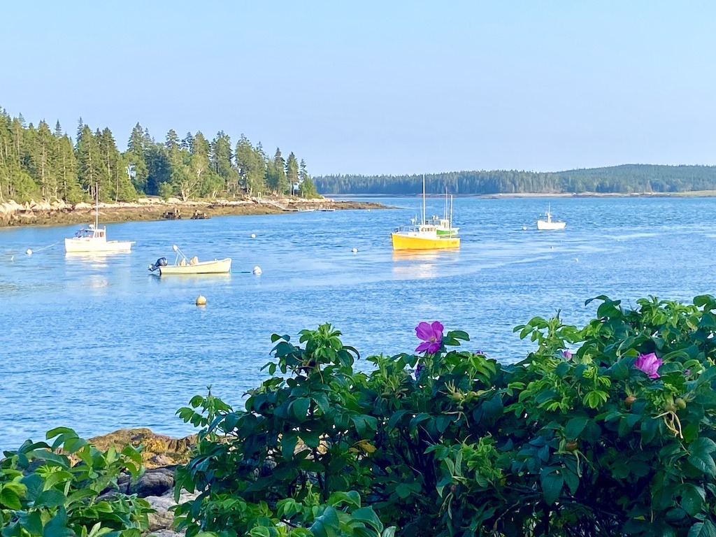boat and roses-Downeast Maine outdoor adventures