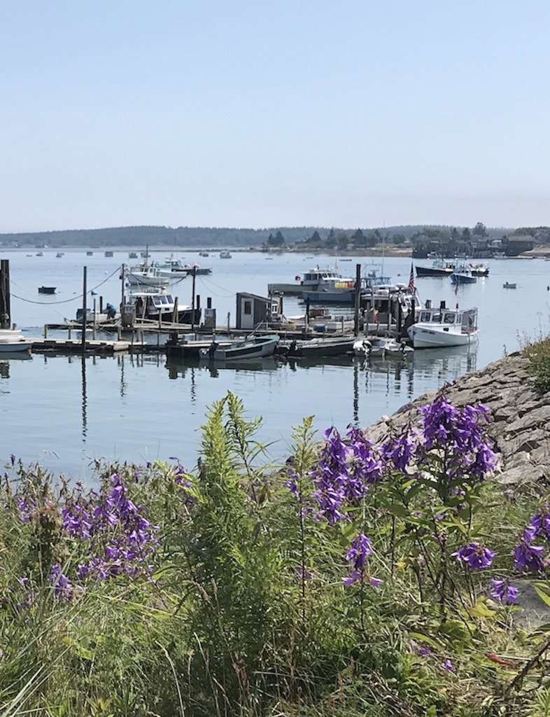 harbor with purple flowers-Downeast Maine outdoor adventures