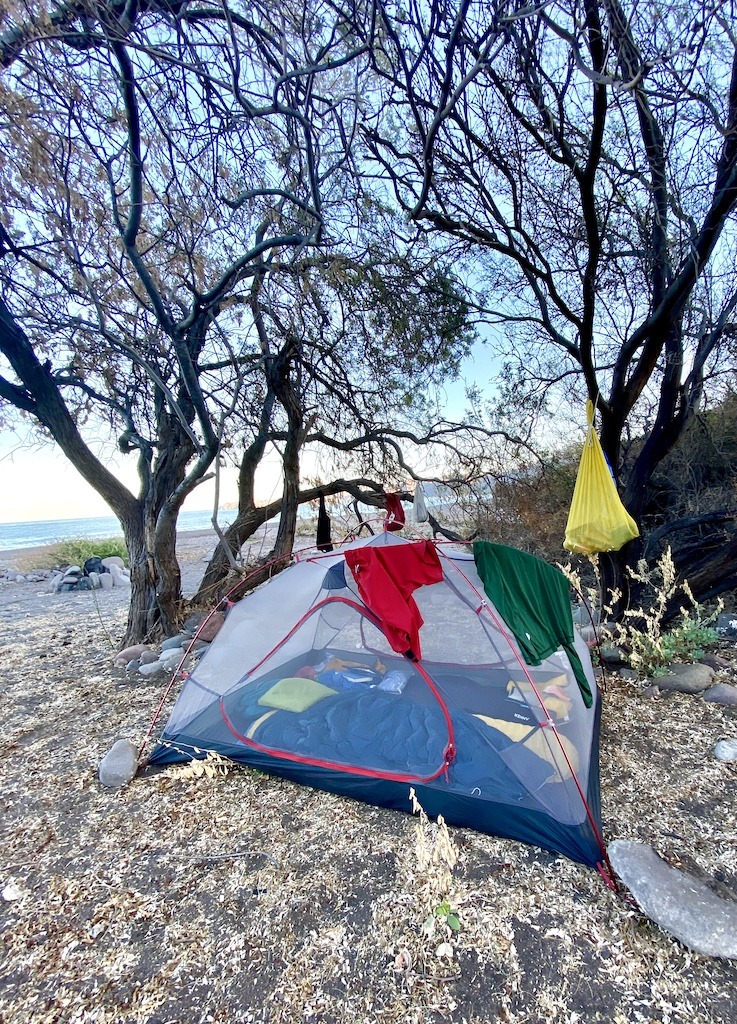 tent pitched under tree with red and green clothes drying on it.-Sea Kayaking in Baja