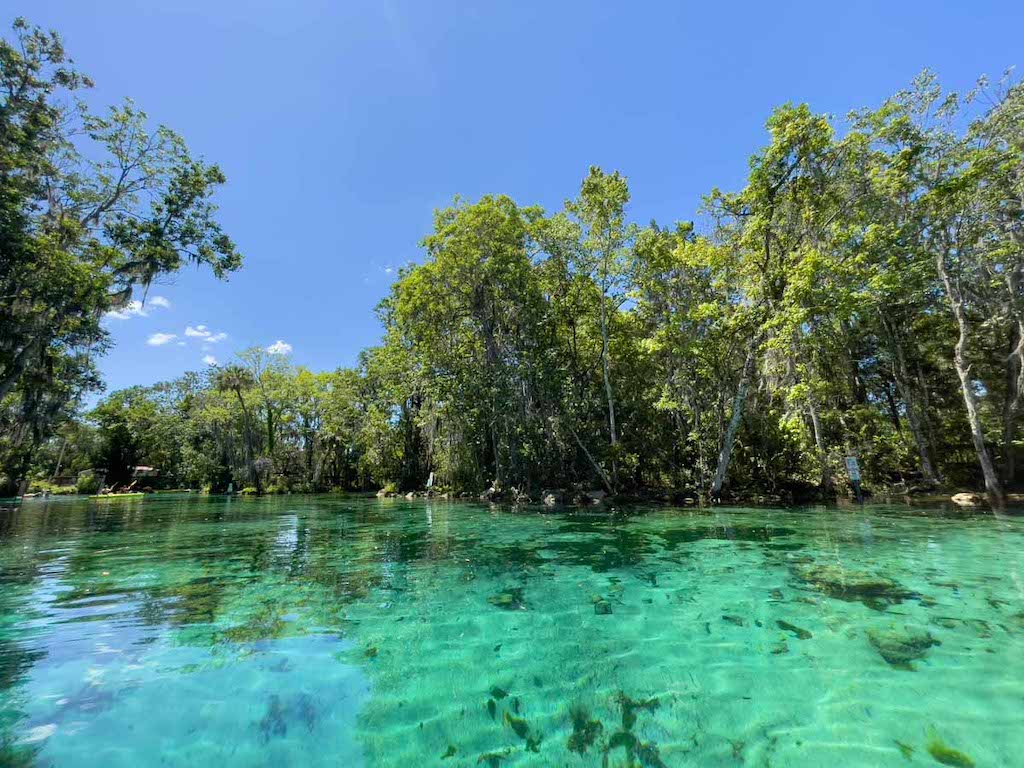 green blue water and trees-best kayaking day trips in the US