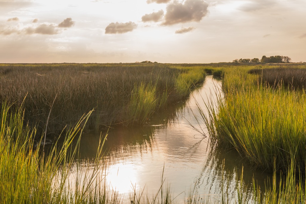 Smith Island marsh-best kayaking day trips in the US