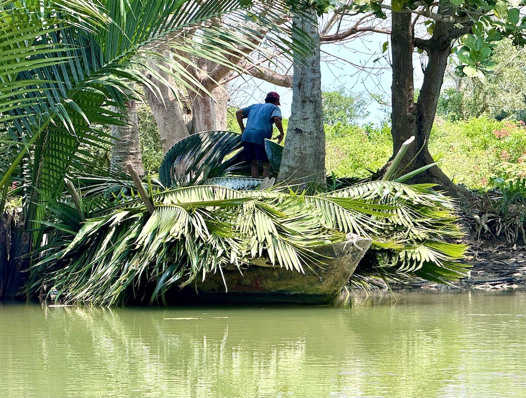 collecting palms-Kayaking in Hoi An